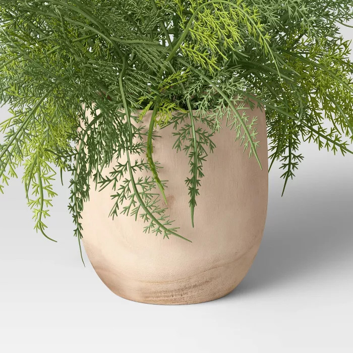 Large Asparagus Fern - Threshold™ | Target