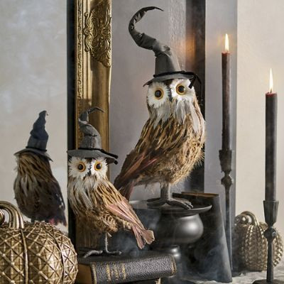 Witch Owls, Set of Two | Grandin Road