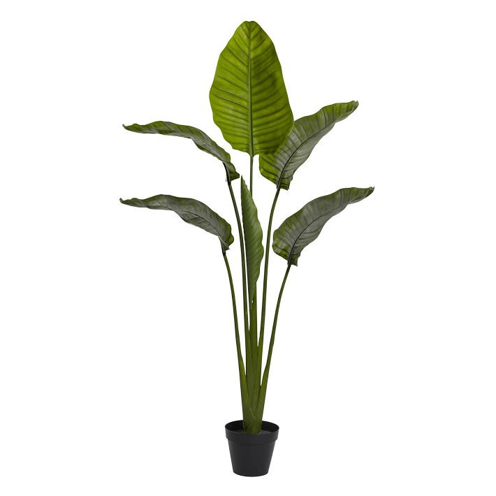 Faux Travelers Palm Tree | Pottery Barn Teen