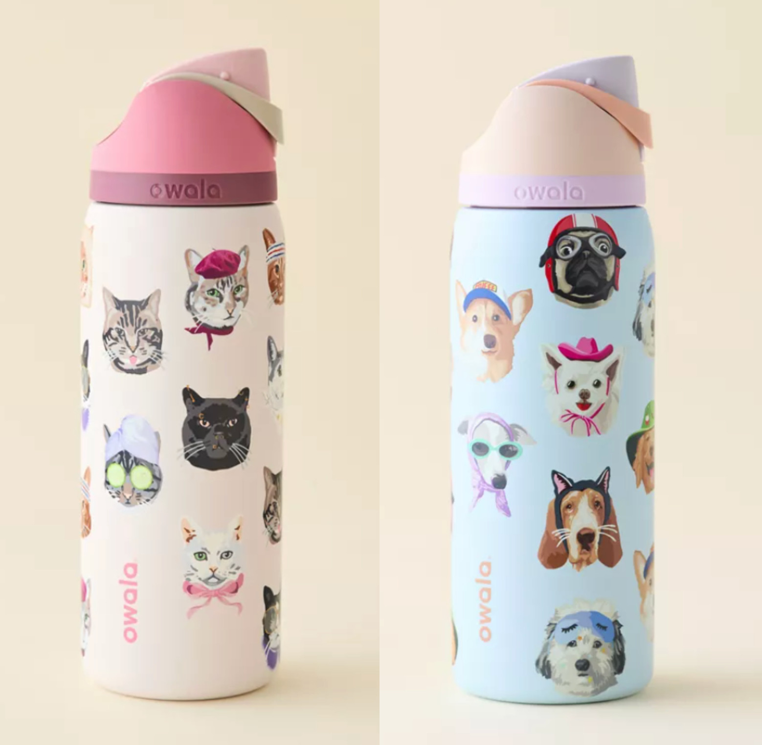 The cutest! Great gift idea!  

 
