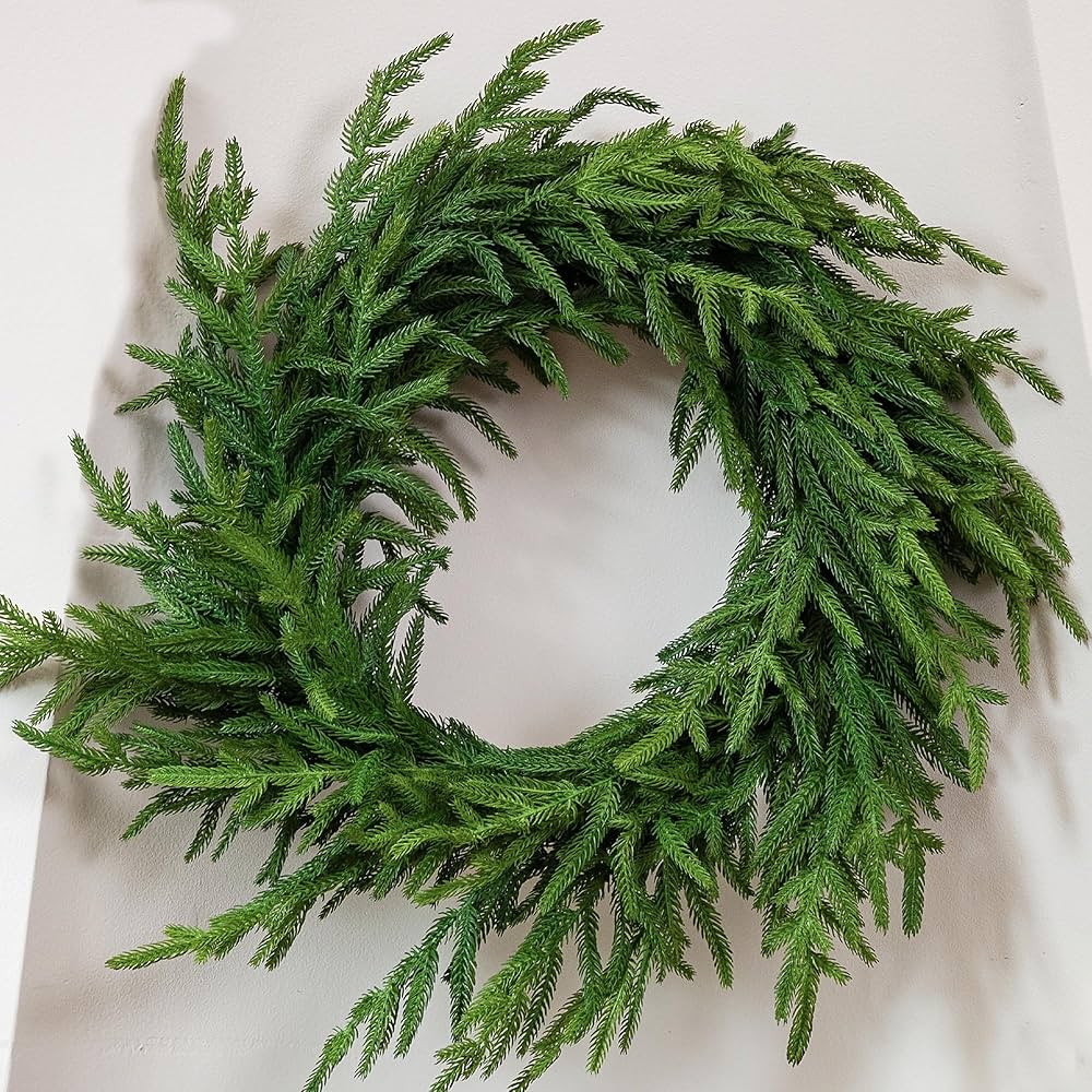 24" Norfolk Pine Wreath Real Touch Christmas Wreath for Front Door Winter Wreaths for Walls Windo... | Amazon (US)