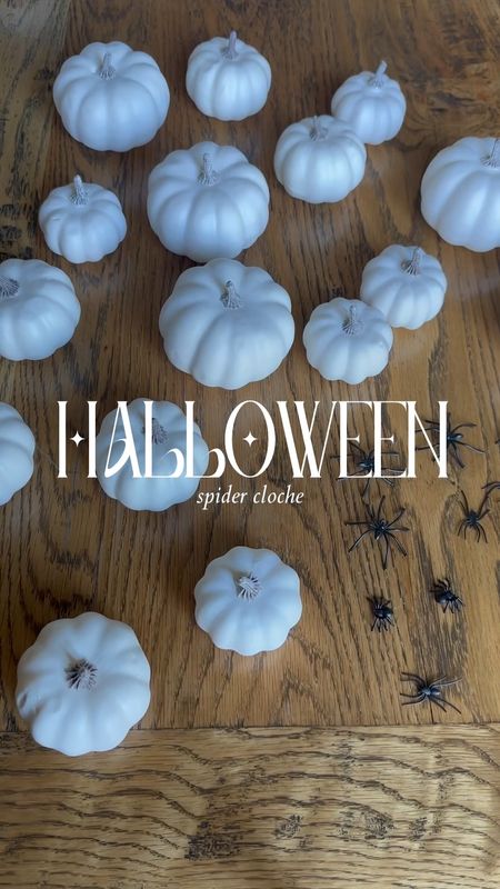 Super simple Halloween DIY! Take a glass jar or cloche and fill them with faux pumpkins. I hot glued spiders onto about half of my pumpkins. Amazon supplies linked!

Halloween Decor, Halloween Party, Kids Halloween, Chic Halloween, Halloween DIY, Halloween Ideas, Fall, Pumpkins  

#LTKhome #LTKHalloween #LTKSeasonal