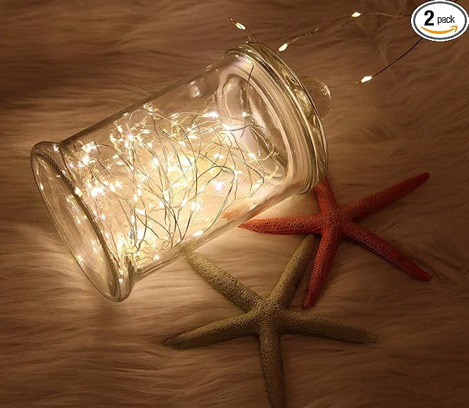 WSgift 2 Pack 20 Feet 60 Warm White Led Battery Operated Fairy Lights with Remote Control Timer W... | Amazon (US)