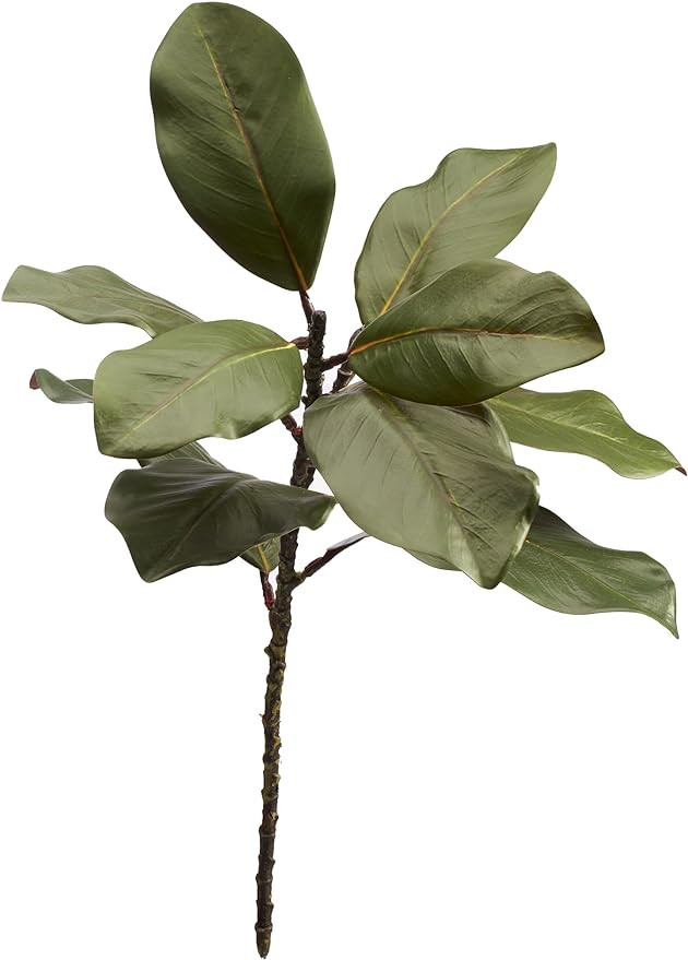 22'' Realistic Southern Magnolia Branches, Real Touch Leaves, Artificial Magnolia Picks for Home ... | Amazon (US)