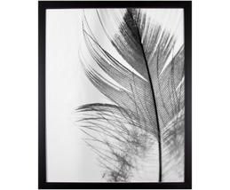 Gerahmter Digitaldruck Feather | WestwingNow (AT & DE)