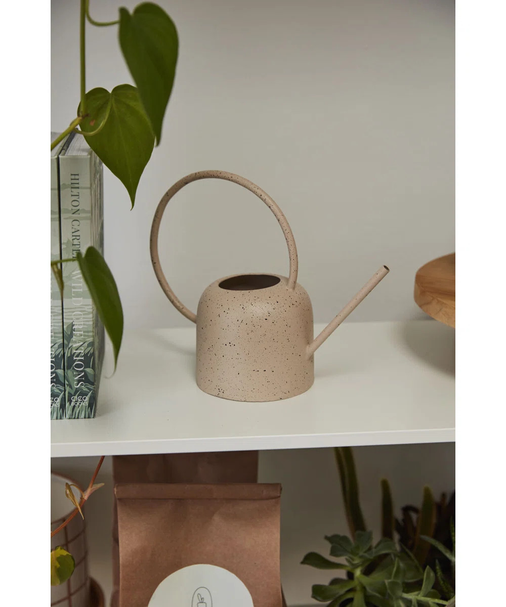 Ramel Watering Can 10.25"x 4.75"x 8.25" | Wayfair North America