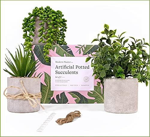 Modern Planter Fake Potted Plants Decor (3 set) - Farmhouse Plants up to 12"- Use Fake Plants for... | Amazon (US)