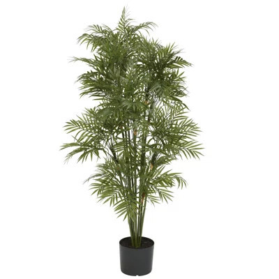 Parlor Palm Tree in Planter | Wayfair North America