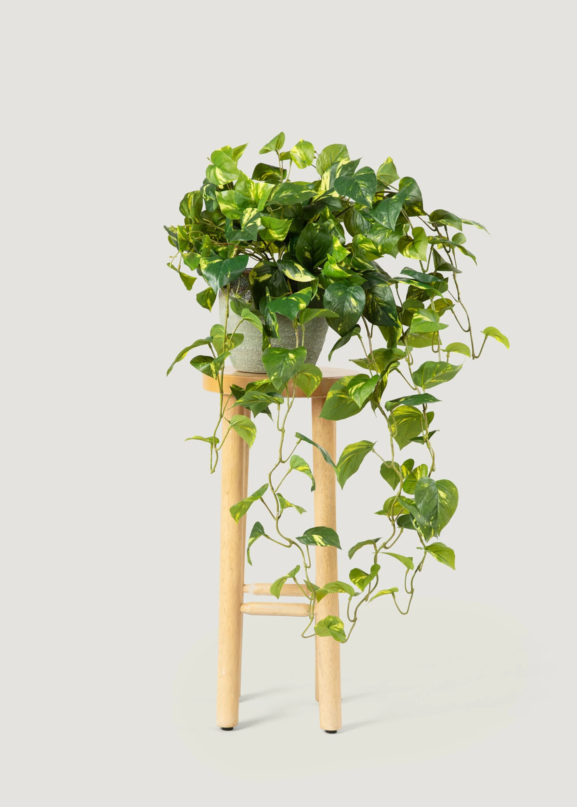 Deluxe Real Touch Pothos Fake Hanging Plant - 36 | Afloral