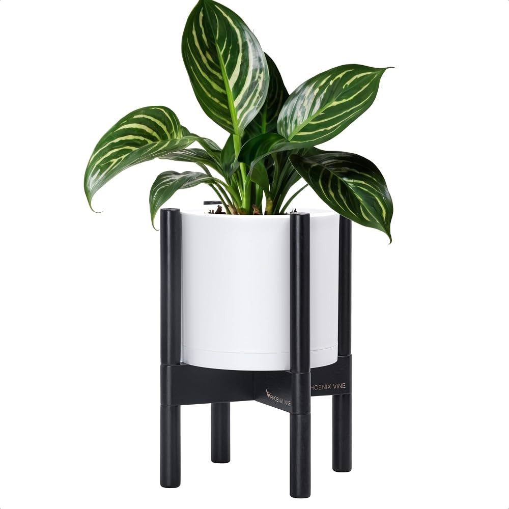 D'vine Dev Planter Pot with Stand - 8 Inch Plastic Cylinder Flower Pot with Wood Planter Holder f... | Amazon (US)
