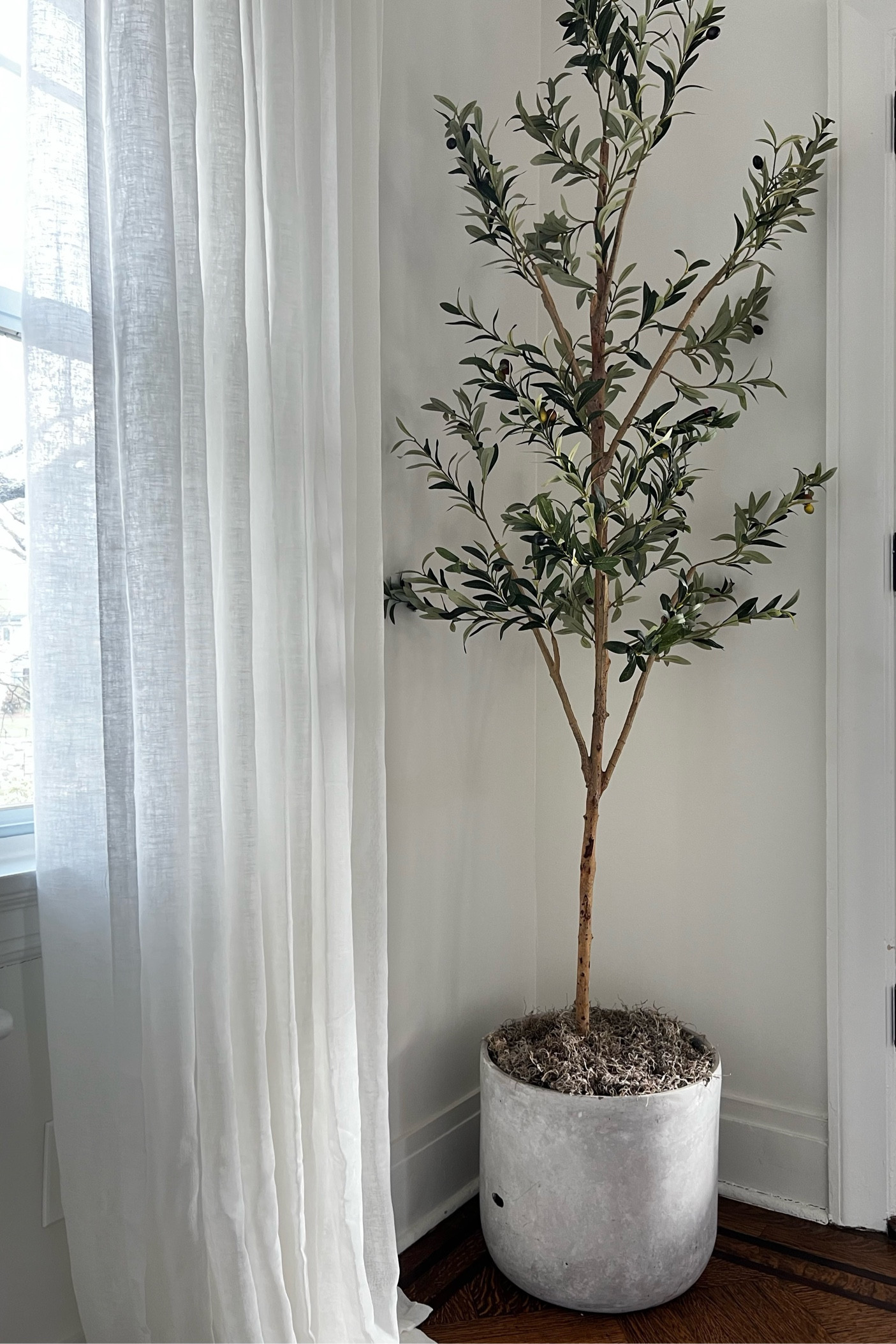 7ft faux olive tree for only $69.99! 😍

#LTKunder100 #LTKhome #LTKstyletip