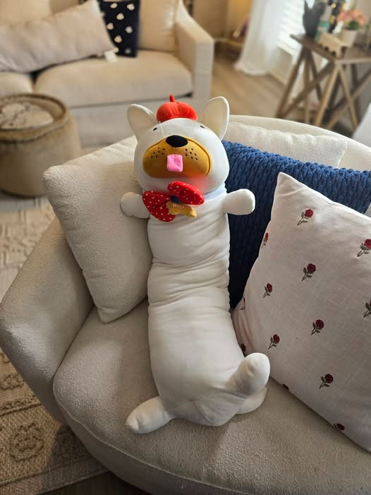 Okay but why do I want this for myself? 😍
Frenchie Weighted Plush Pillow = ultimate cozy!
#MustHaveFind
#HomeFinds
#TargetFinds
#WalmartFinds
#ShopMyFinds 

 #LTKValentine