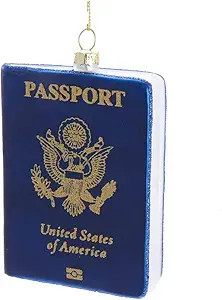 Glass Passport Ornament | Amazon (US)