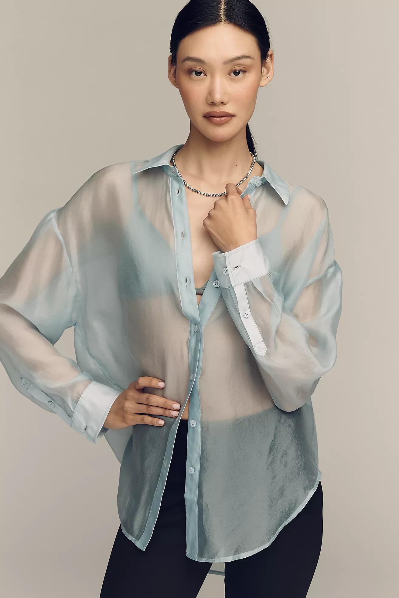 By Anthropologie Sheer Long-Sleeve Buttondown | Anthropologie (US)