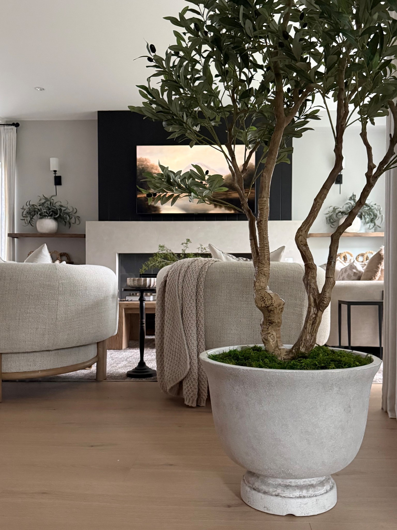 Walmart extra large planter. This is a beauty…literally looks like weathered concrete. For indoors or out! 