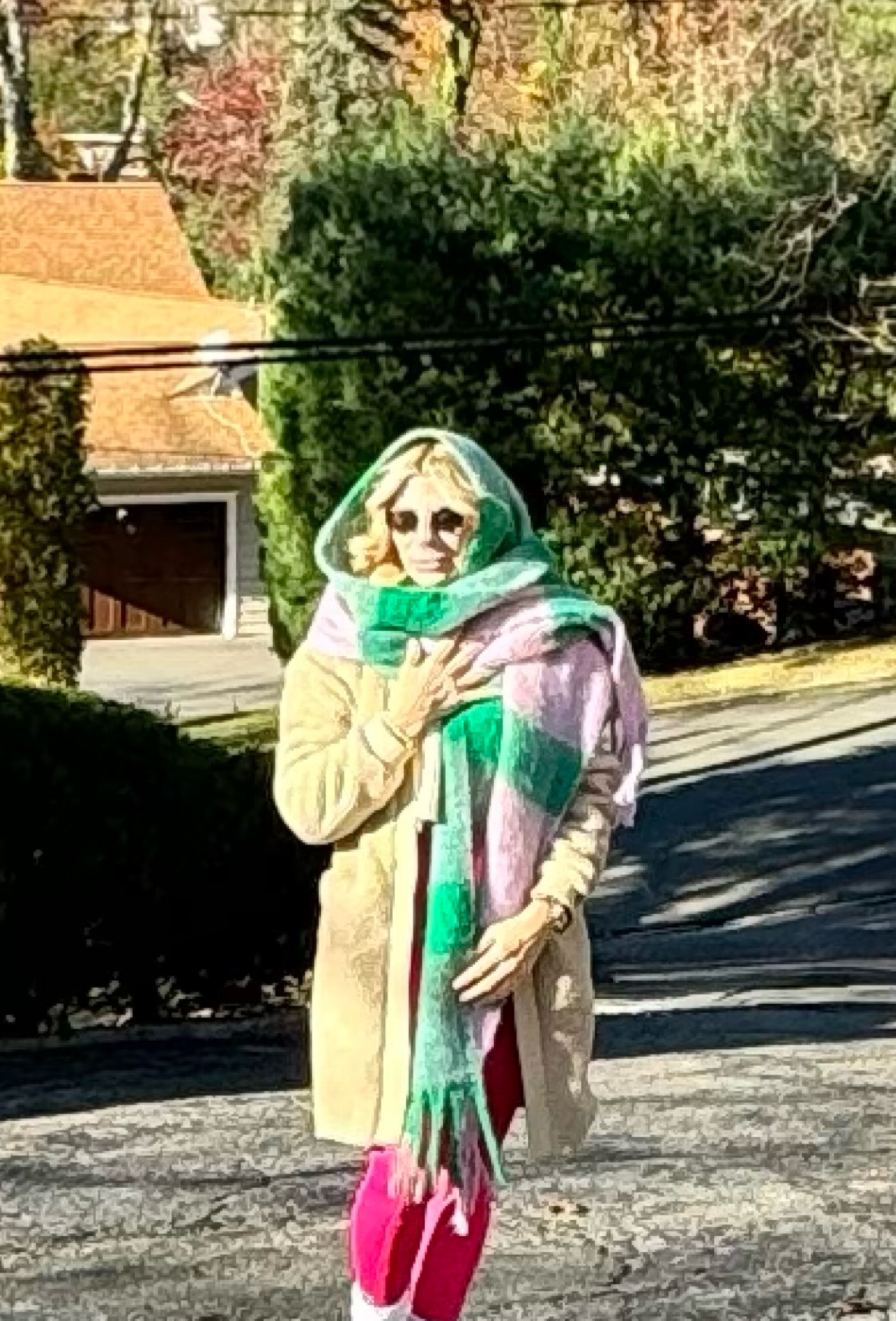 Love this scarf! Great gift 💚🩷

#LTKGiftGuide #LTKStyleTip