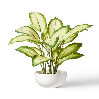 20" x 14" Faux Aglaonema Silver Bay Plant in Ceramic Pot White - Hilton Carter for Target | Target