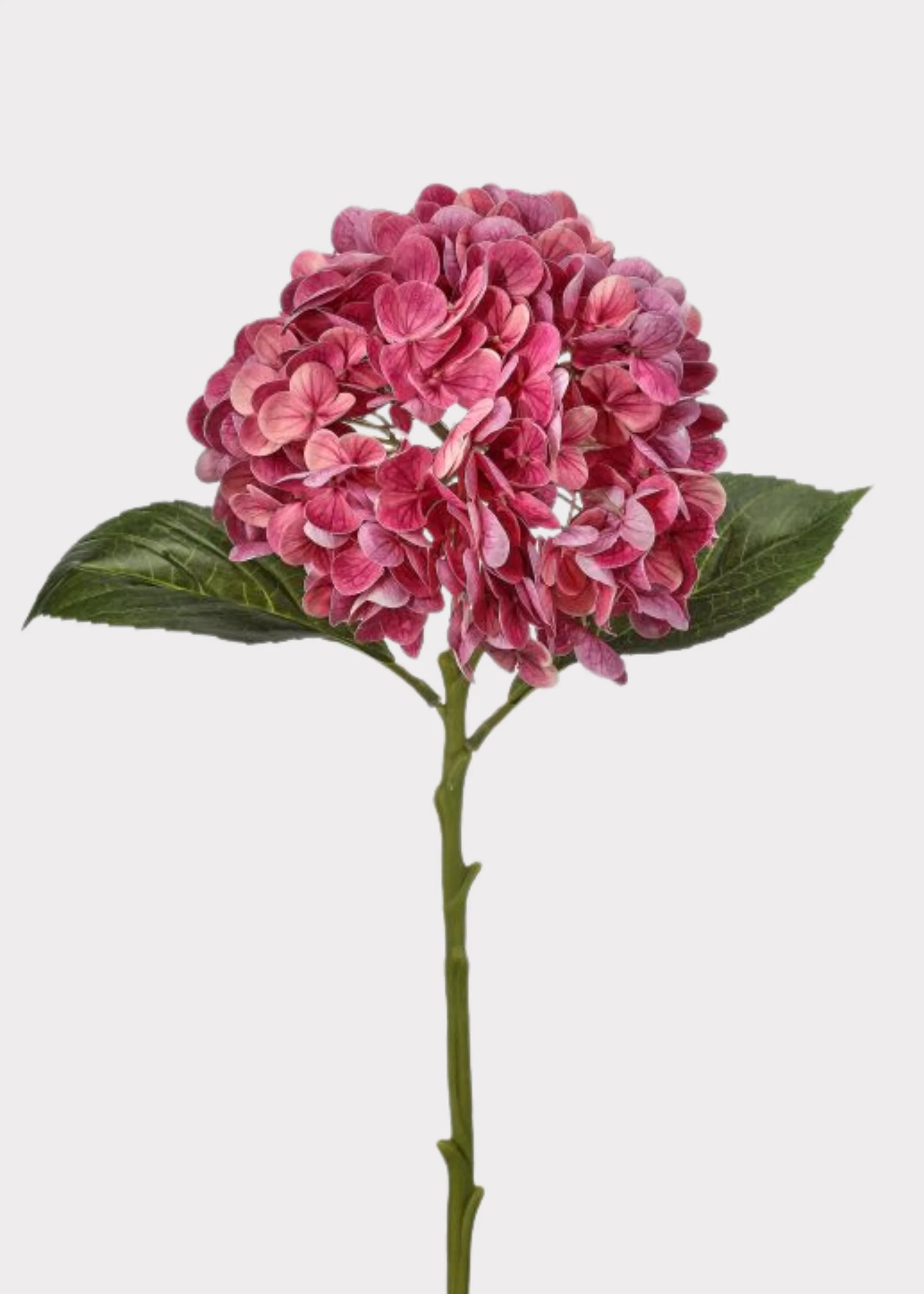 Fuchsia Pink Hydrangea Real Touch Fake Flower - 18.5 | Afloral