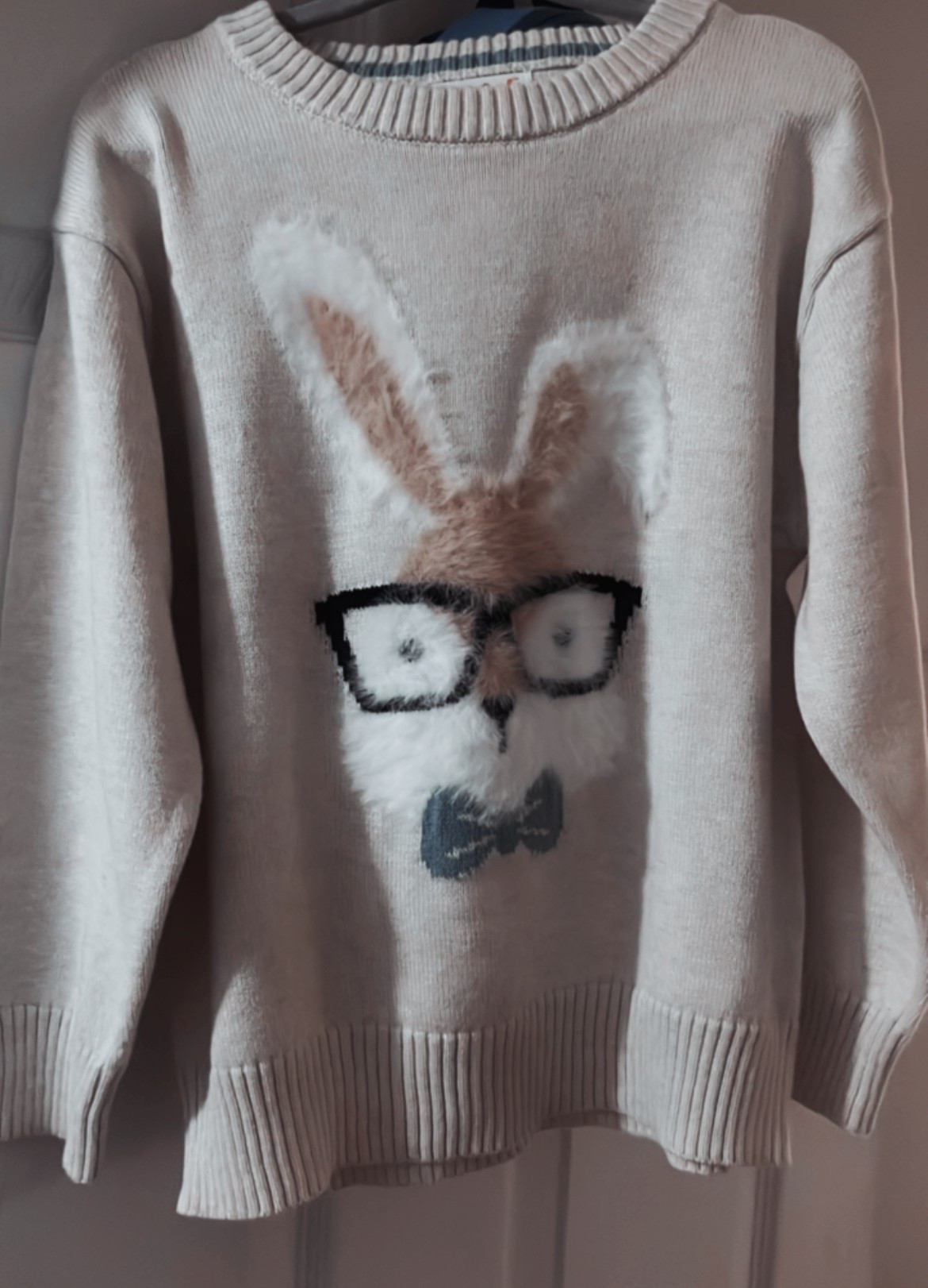 Finns Easter sweater is secured! 🐰 🤓 

#LTKSeasonal #LTKBaby #LTKKids