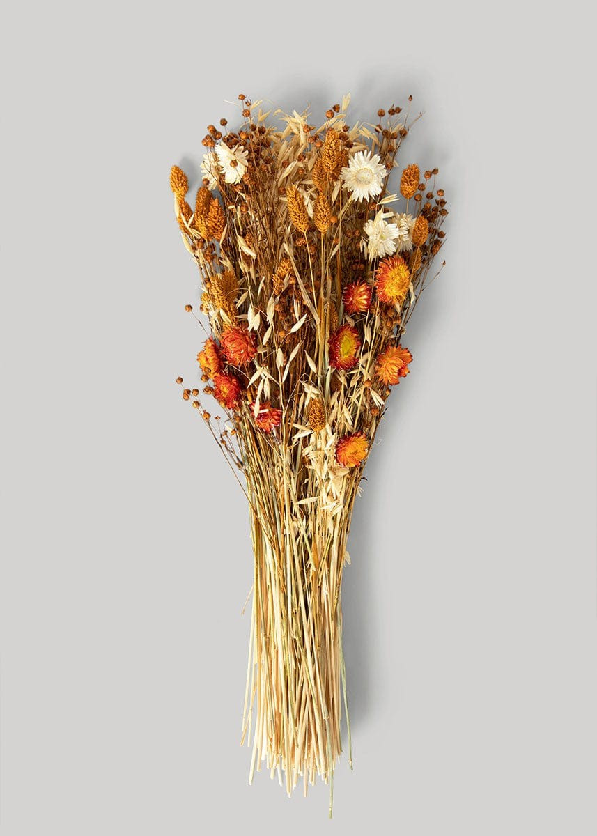 Phalaris and Strawflower Dried Fall Bouquet - 24" | Afloral