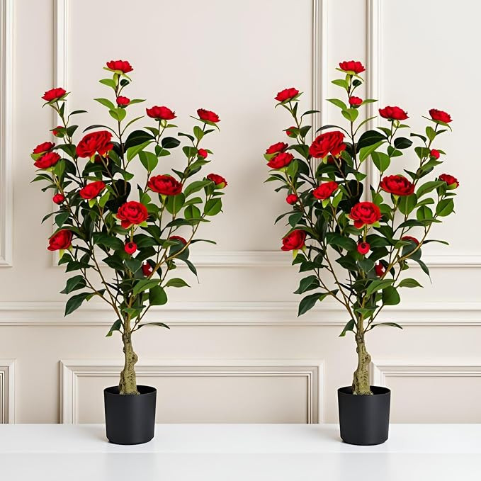 Artificial Camellia Tree 2 Pack, 3FT Faux Camellia Plant in Pot, 36 inch Fake Potted Camellia Flo... | Amazon (US)