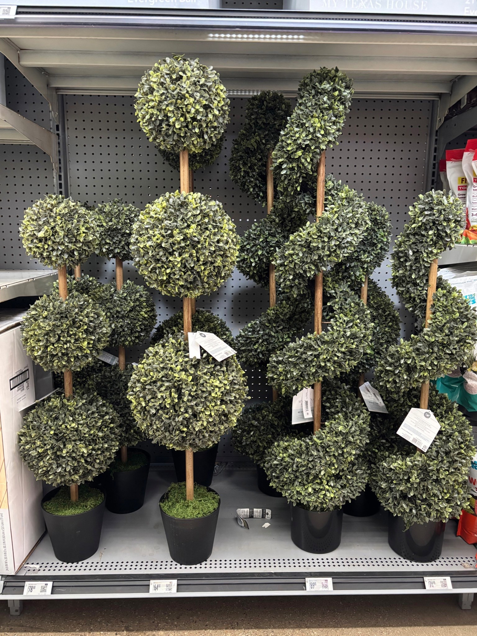 The online photos do not do these justice! These topiaries are so dreamy and great quality. I can’t believe the price.  🤭

￼

#LTKSeasonal #LTKHome