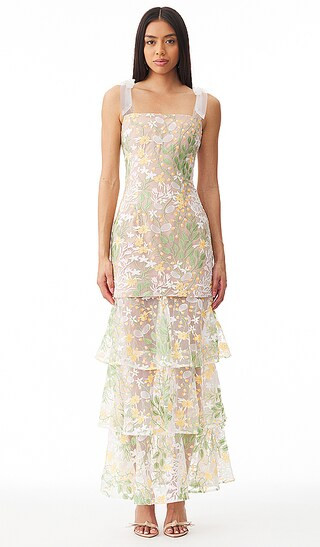 Experience Maxi Dress in Multi | Revolve Clothing (Global)