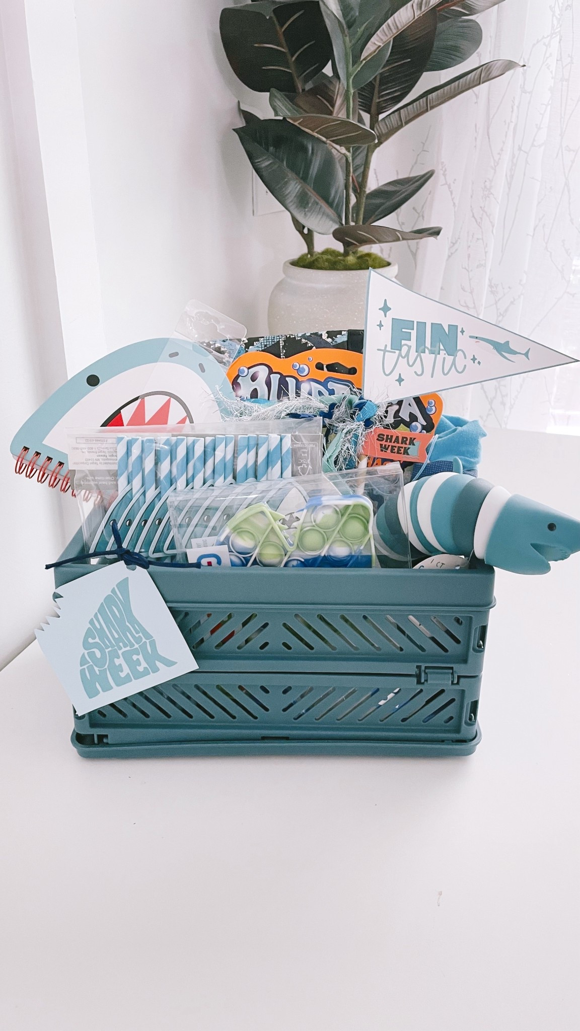 Celebrate Shark Week with a Fin-tastic basket of fun! 

#LTKFamily #LTKKids #LTKSeasonal