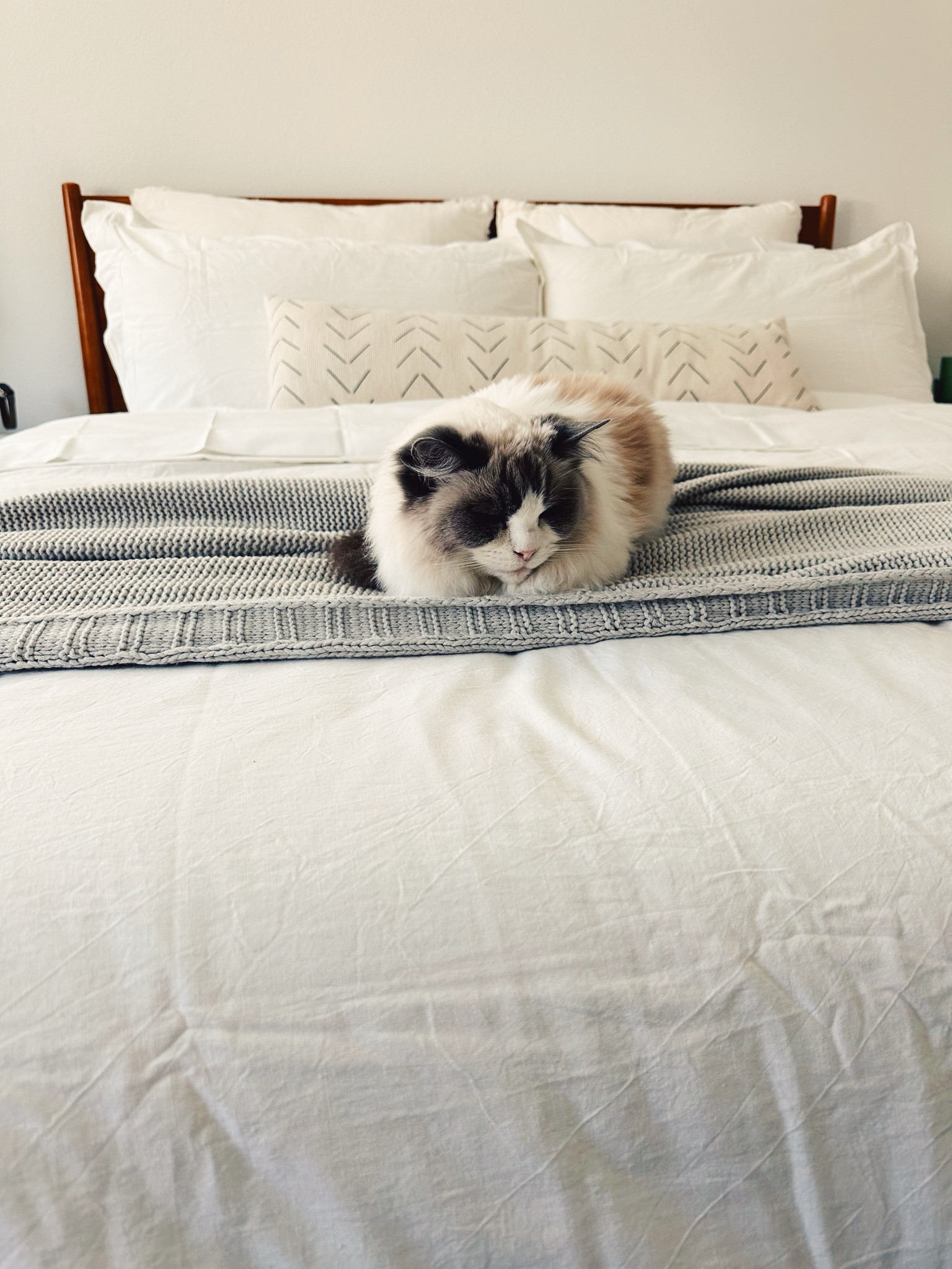 Bedding refresh and I think the loaf approves! Loving this linen-feel duvet and cozy blanket. I do have to say the duvet arrived with a small spot, but I didn’t realize until after the struggle of getting the insert into the cover. The spots came out super easy though, so this will be one that’s easy to clean and will only get softer the more it’s washed. 

#LTKhome