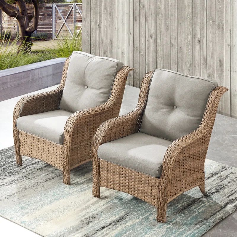 Patio Chair with Cushions (Set of 2) | Wayfair North America