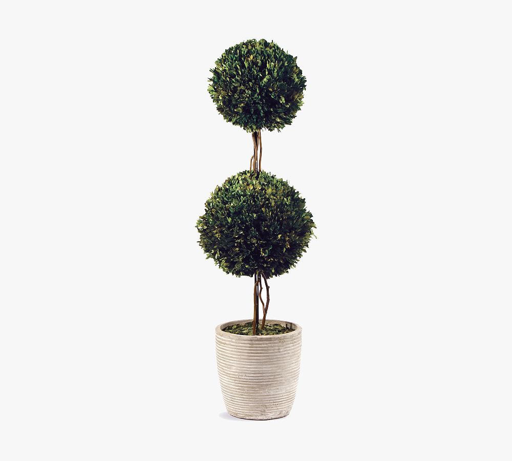 Preserved Boxwood Potted Double Sphere Topiary Trees | Pottery Barn (US)