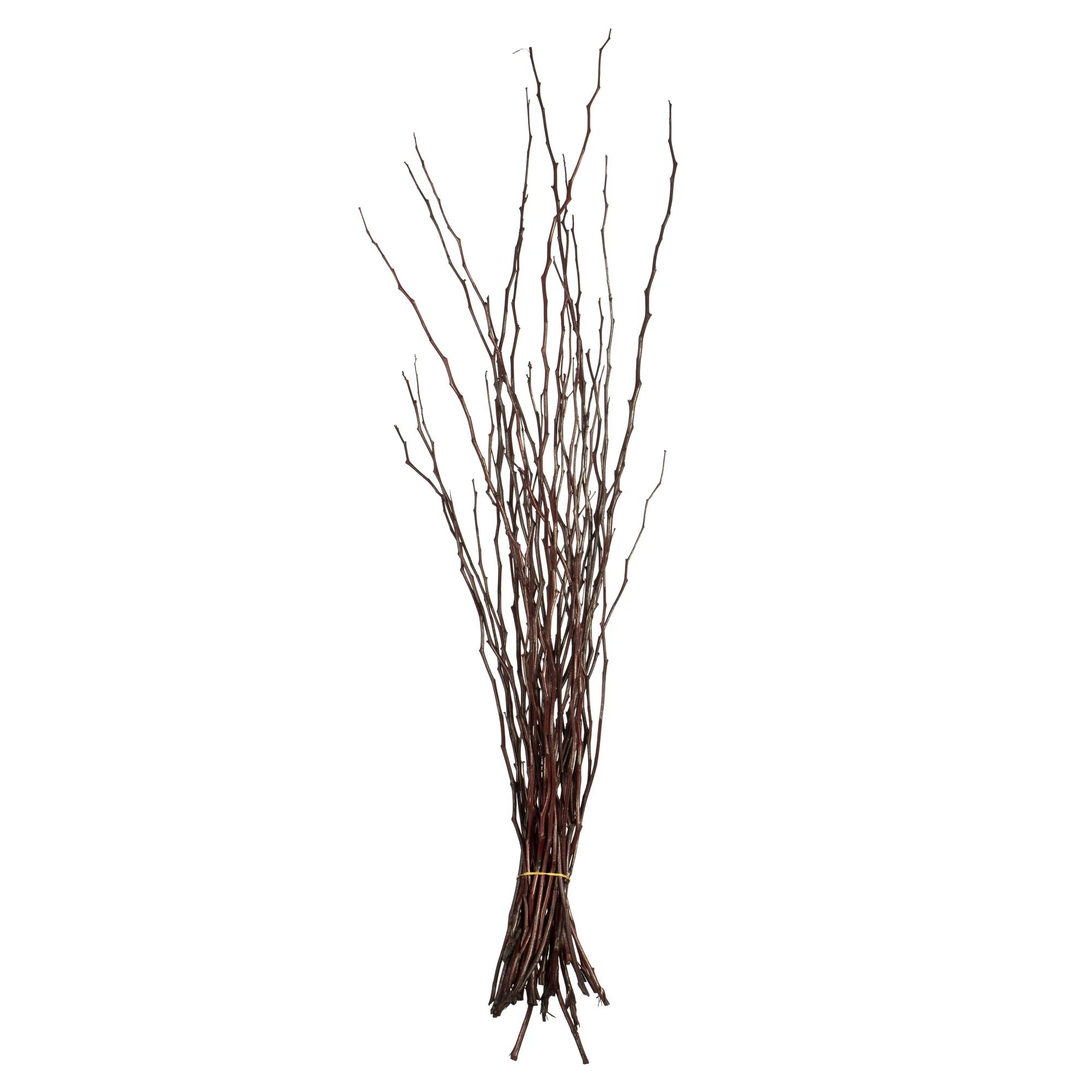Vickerman 35-40" Brown Moneta Branches, 8 oz Bundle, Dried | Walmart (US)