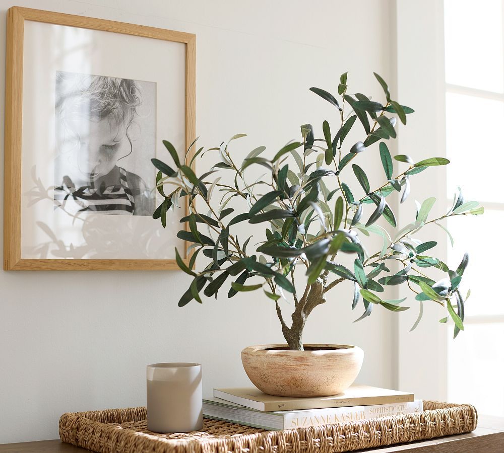Faux Potted Olive Houseplant | Pottery Barn (US)