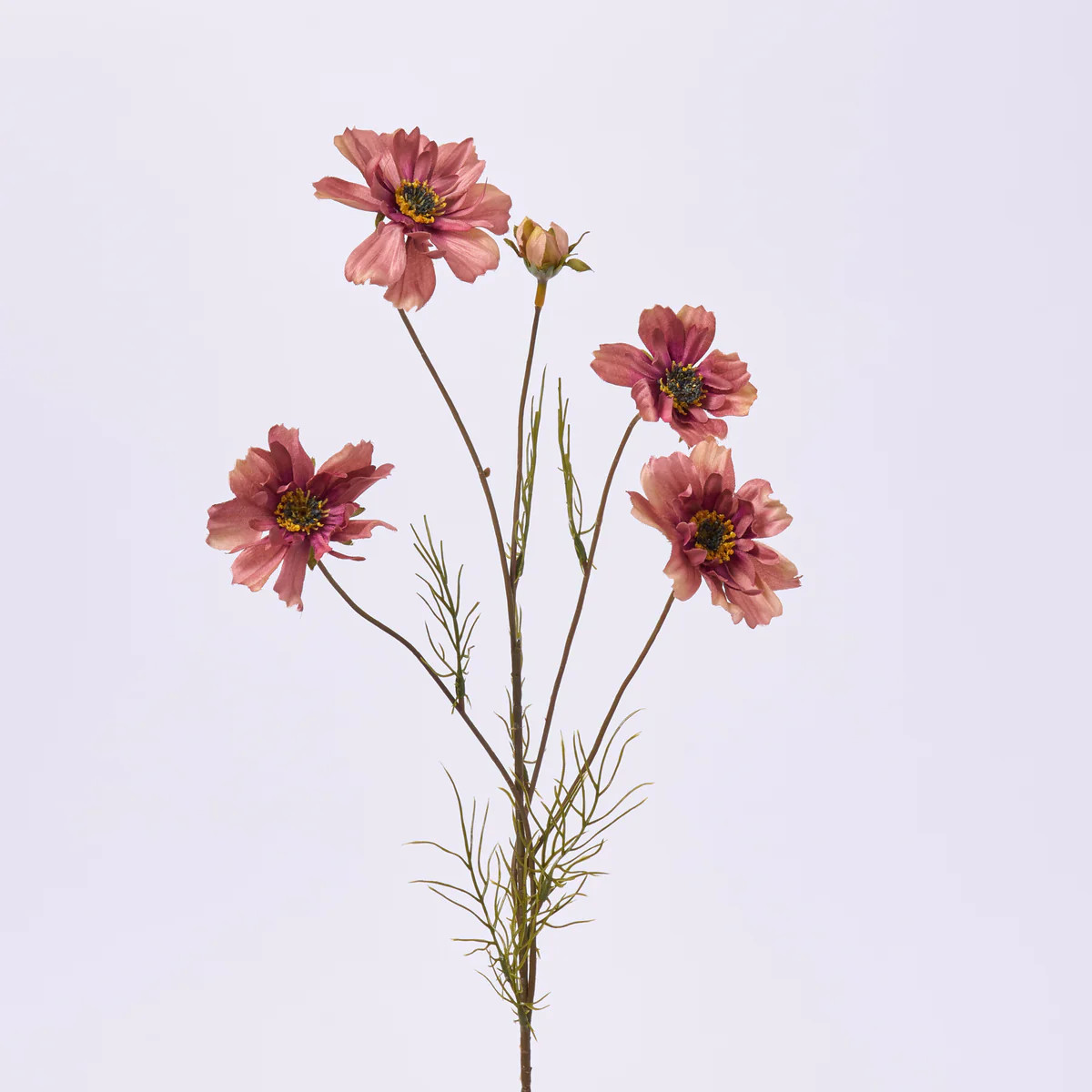 Blooming Antique Mauve Fall Cosmos Branch Single Stem Faux Floral Spray - 32" | Darby Creek Trading