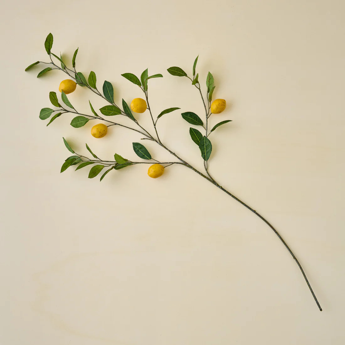 Lemon Citrus Stem | Magnolia