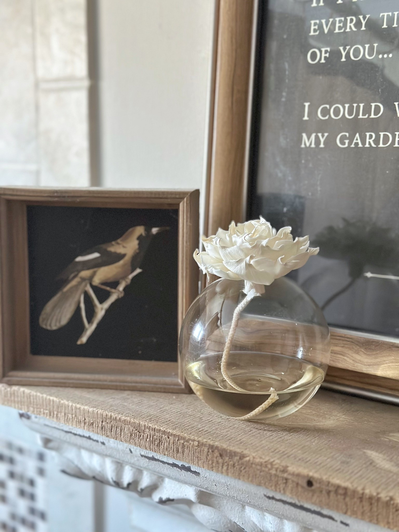 A small round glass vase with a narrow opening, diffuser oil, and a single flower diffuser with a wicking stem. This setup gives a soft, steady scent while looking like decor, perfect for a bathroom or small space. No flame, no maintenance, just an easy way to add fragrance and a pretty detail to your home.

#LTKValentine #LTKselfcare #LTKHome