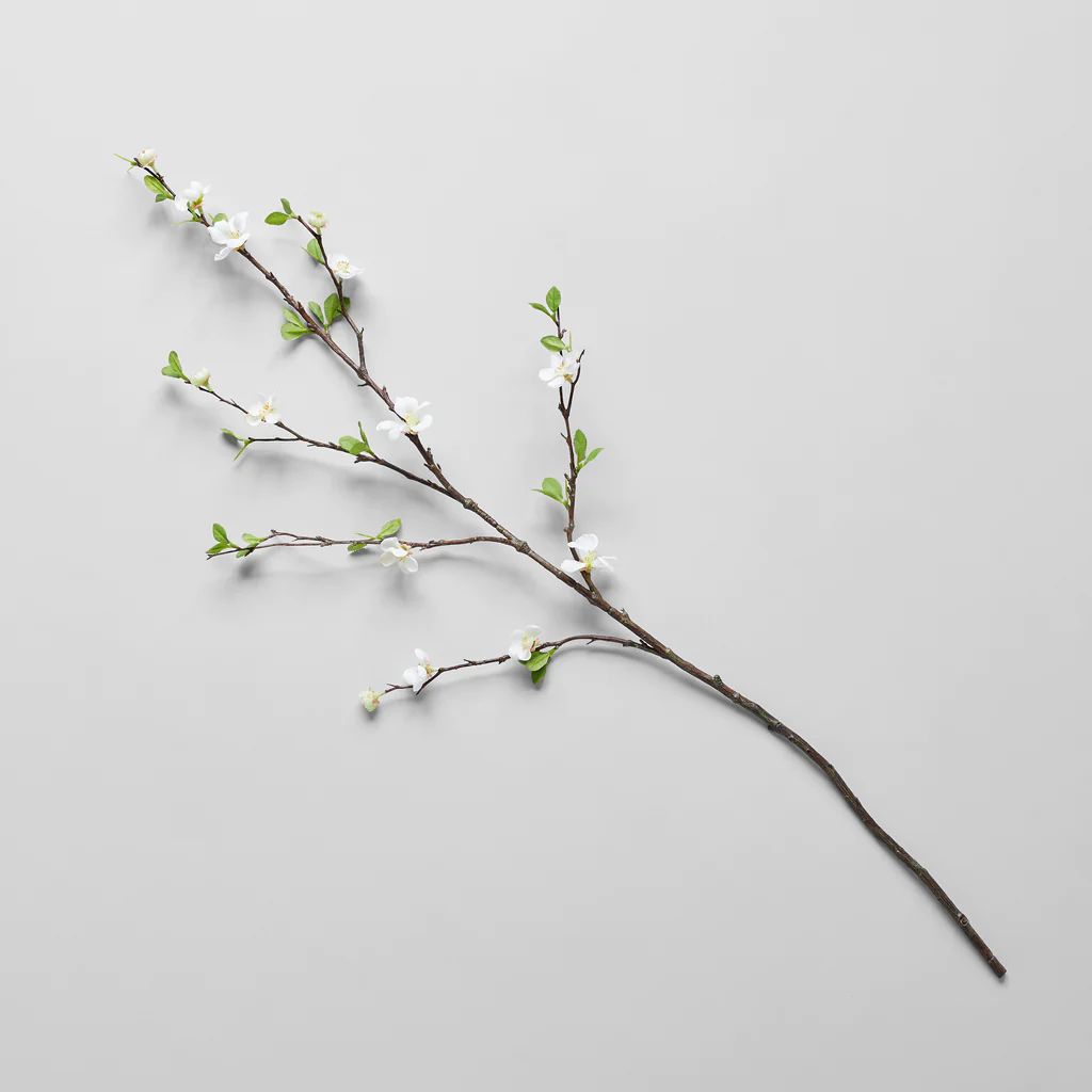 EcoFaux White Quince Branch, 38.75" | Bloomist