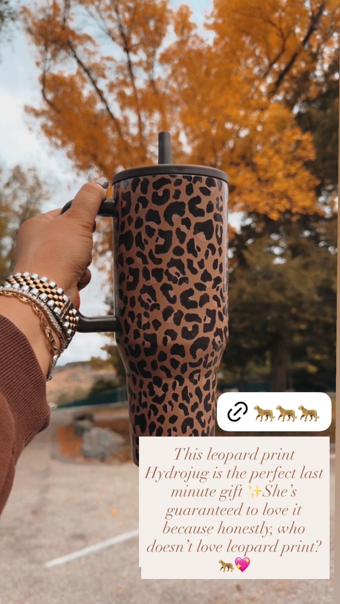 This leopard print Hydrojug is the perfect last minute gift ✨She’s guaranteed to love it because honestly, who doesn’t love leopard print? 🐆💖 leopard print Hydrojug | amazon water bottle | gift ideas for her | last minute gifts | holiday gift ideas | stocking stuffer ideas | trendy water bottle | Amazon finds | holiday gifting | leopard print accessories | affordable gifts | must-have gifts


#LTKGiftGuide #LTKSaleAlert #LTKHoliday