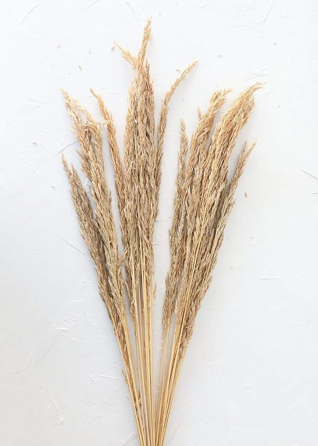 Afloral Dried Wild Oats | Amazon (US)