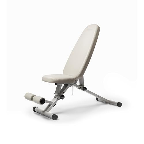 WeGym Fitness Bench, Adjustable, Collapsible, Comfortable, and Luxurious Home Gym Bench for Strength Training | Amazon (US)