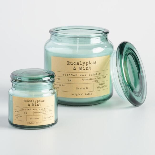 Eucalyptus & Mint Apothecary Scented Candle | World Market