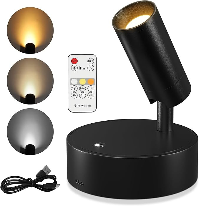 TaoFiaCo Focos para interiores, iluminación inalámbrica para interiores con control remoto regu... | Amazon (US)