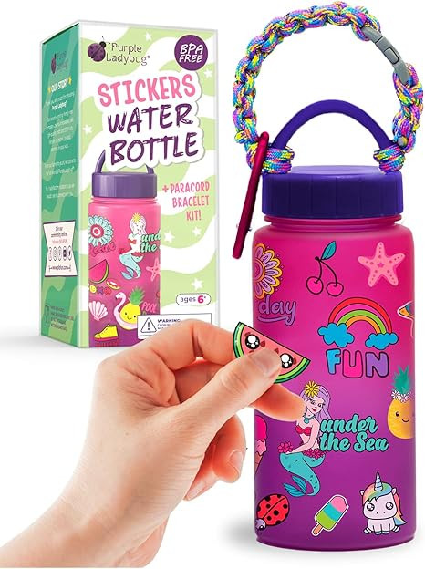 Purple Ladybug Decorate Your Own Water Bottle for Girls Age 6 + - Awesome 6 & 8 Year Old Girl Bir... | Amazon (US)
