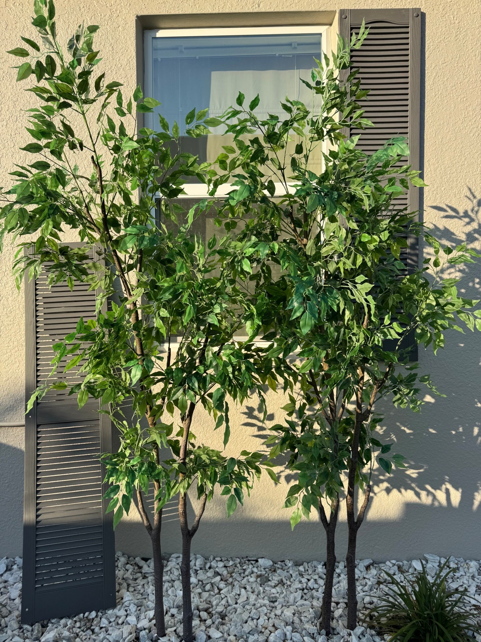 In need of privacy? Try these UV faux ficus trees,they add coverage and look beautiful at the same time ✨

#LTKSaleAlert #LTKHome