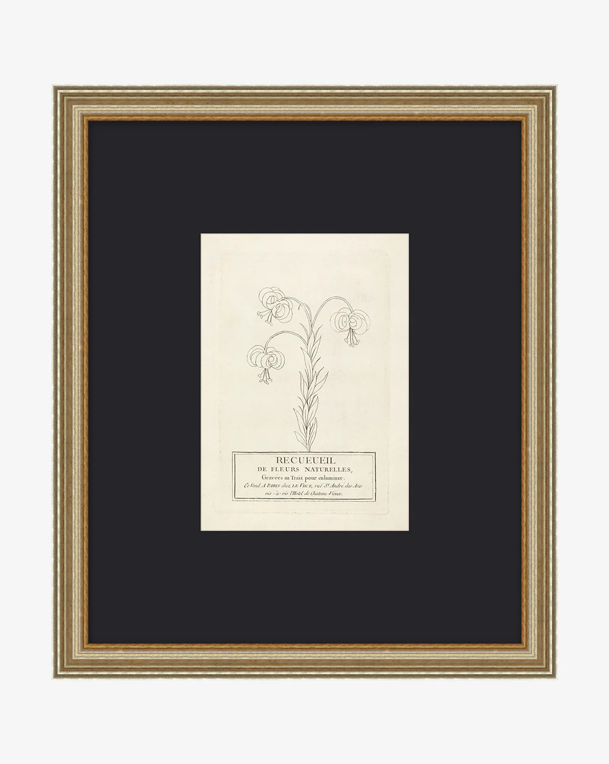 Collection Of French Flowers | McGee & Co. (US)