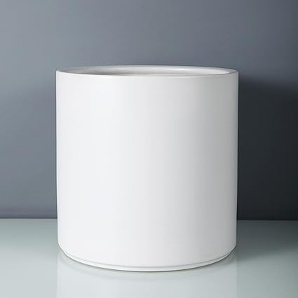 FOPAMTRI 6 Inch Plant Pot Matte White Ceramic Planter for Indoor Outdoor Plants Flowers Small Mod... | Amazon (US)