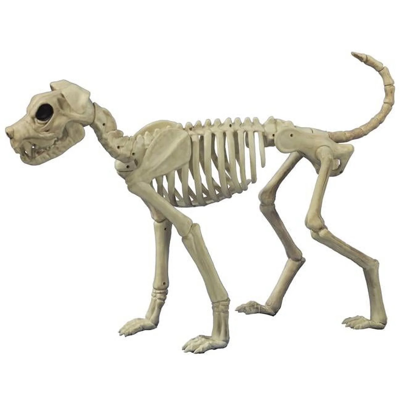 Seasons  Buster Bonez Costume | Walmart (US)
