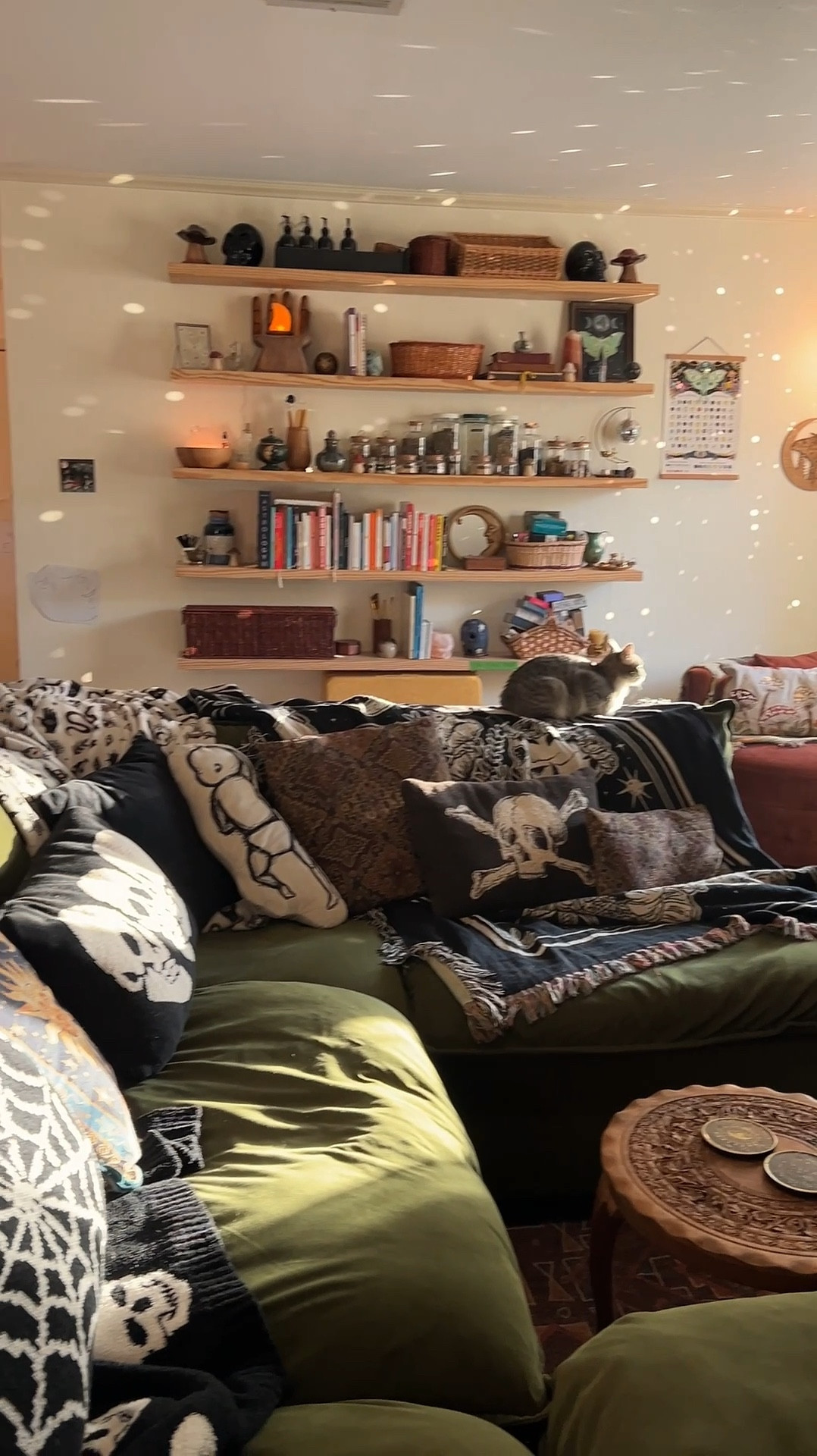 let's get my couch ready for spooky season 💀👻🎃🖤✨ gotta be honest, most of these blankets and pillows are here year round — what can i say, i'm a witch 🤷🏻‍♀️ we love a good halloween blanket!
most blankets and pillows from home goods!

#LTKSeasonal #LTKHome #LTKHalloween