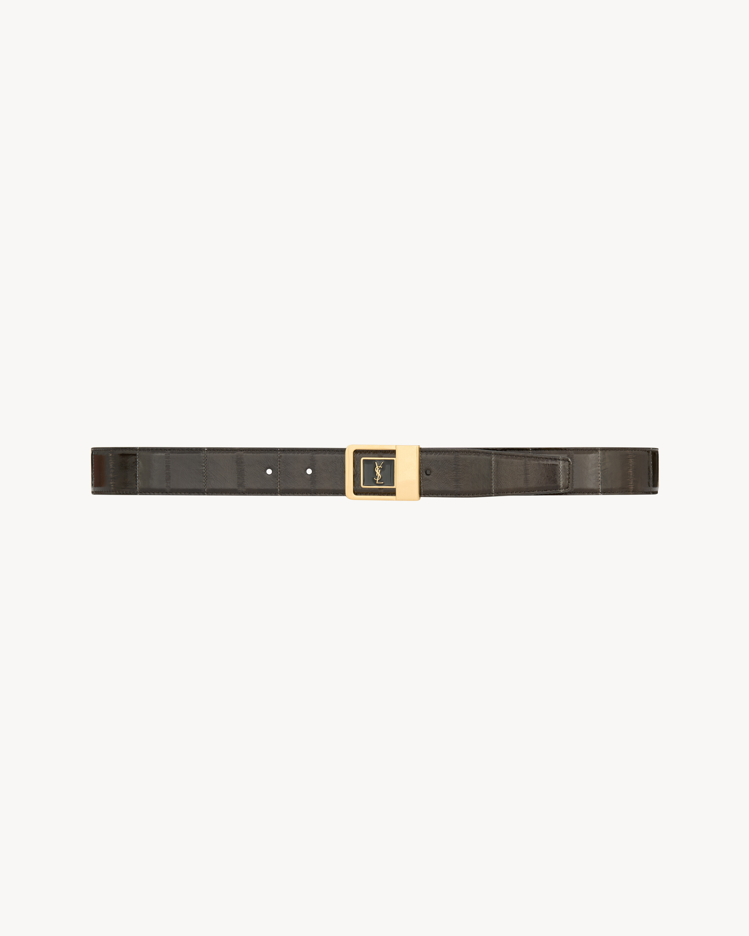 LA 66 belt in eel | Saint Laurent Inc. (Global)