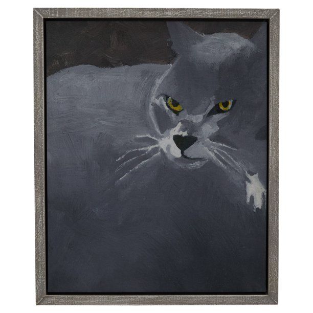 Stoic Eyed Cat Gray 18.5"x22.5" Frame by Drew Barrymore Flower Home - Walmart.com | Walmart (US)